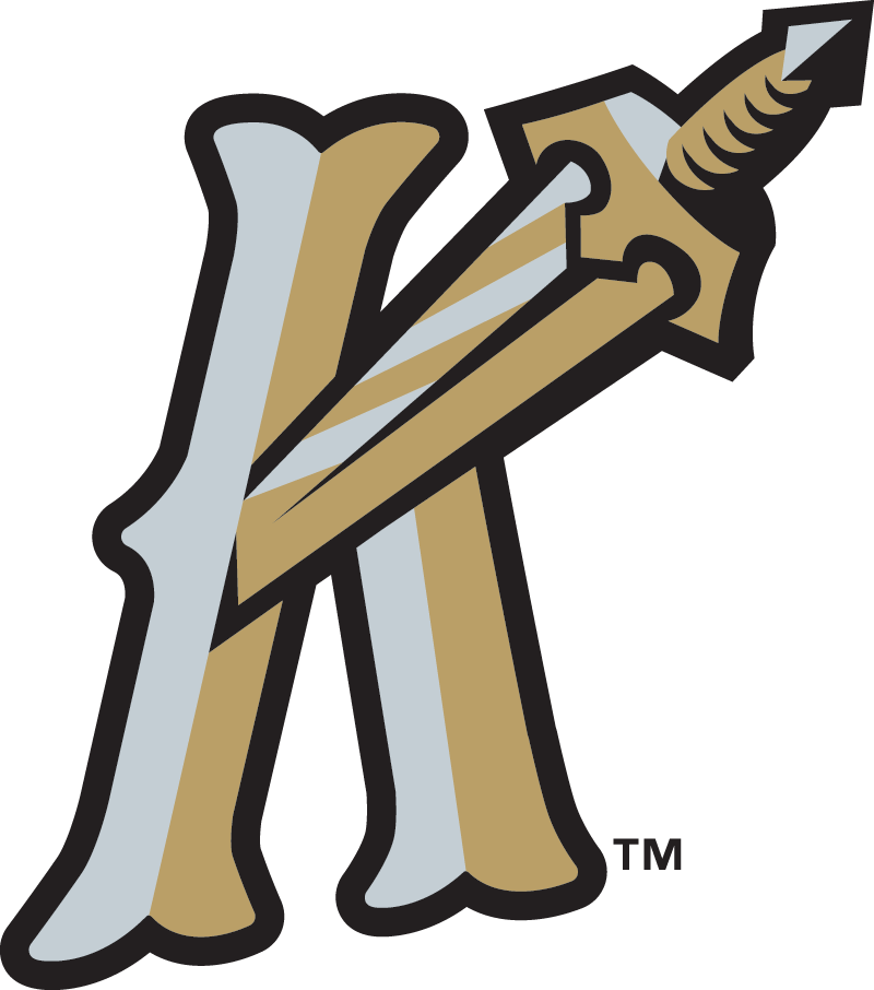 Charlotte Knights 2014-Pres Alternate Logo iron on transfers for T-shirts
